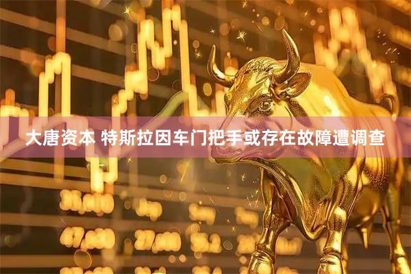 大唐资本 特斯拉因车门把手或存在故障遭调查