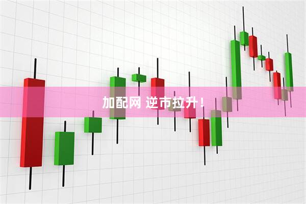 加配网 逆市拉升！