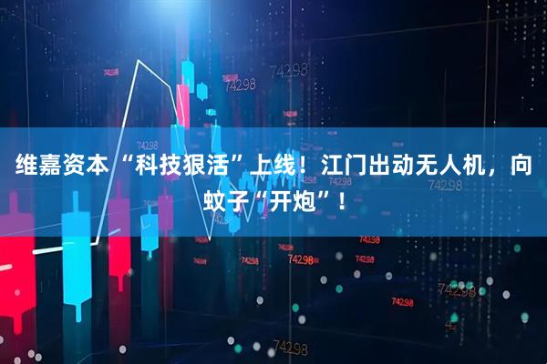 维嘉资本 “科技狠活”上线！江门出动无人机，向蚊子“开炮”！