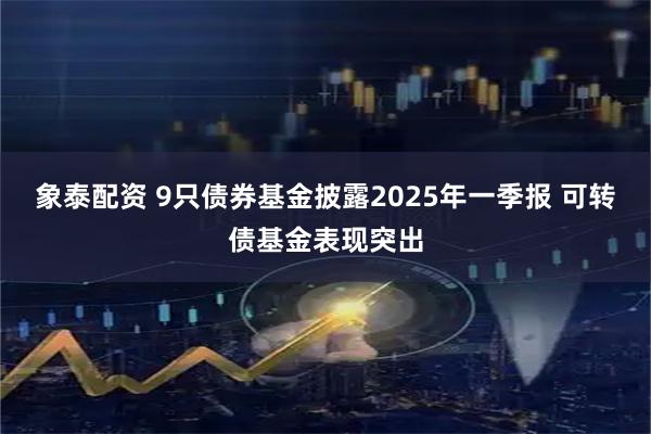 象泰配资 9只债券基金披露2025年一季报 可转债基金表现突出