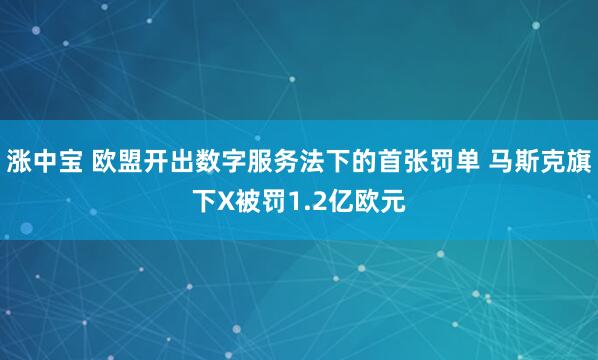 涨中宝 欧盟开出数字服务法下的首张罚单 马斯克旗下X被罚1.2亿欧元