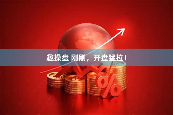 趣操盘 刚刚，开盘猛拉！